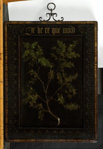 Branche de houx, avant 1437
